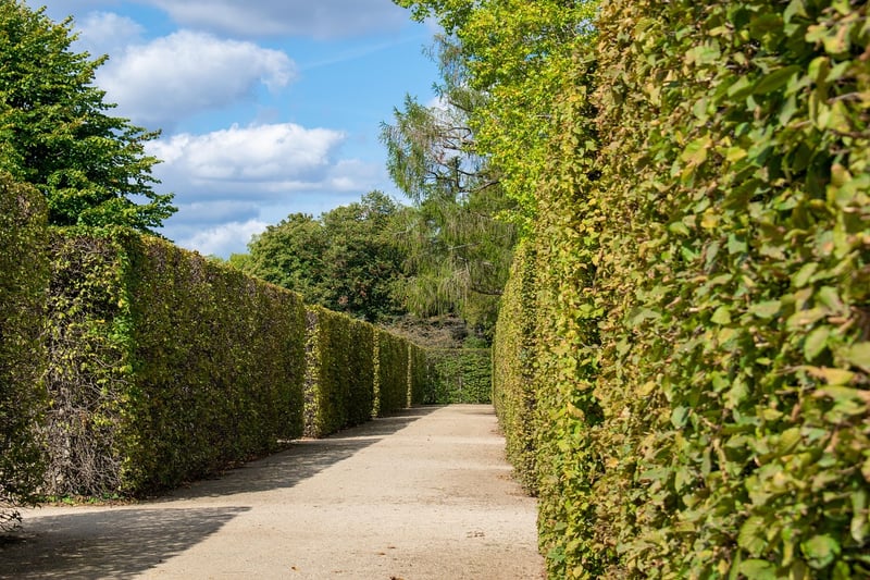 Labyrinth Meditation
